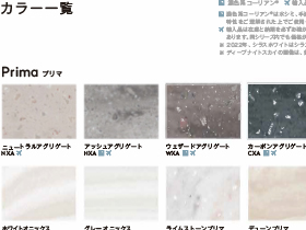 2022年度 コーリアン®  カラー一覧